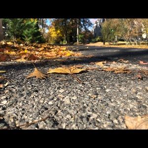 Meet your Posher, Mollie